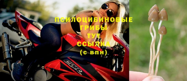 бошки Балахна