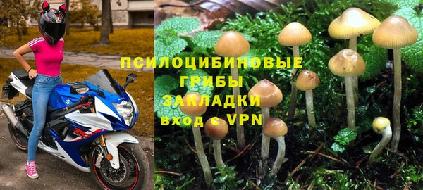 дмт Баксан