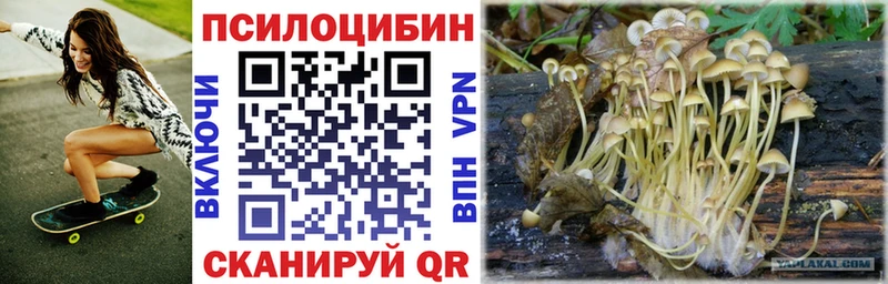 где можно купить   мориарти формула  Псилоцибиновые грибы ЛСД  Бодайбо 